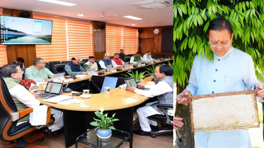 धामी सरकार का मौनपालन नीति से 10 हजार रोजगार का सृजन, कैबिनेट ने दी मंजूरी