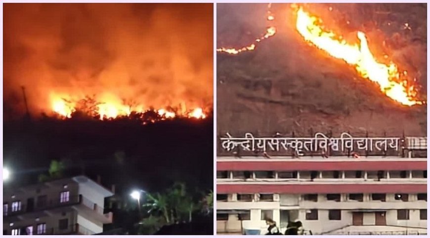 उत्तराखंड में भीषण जंगल की आग ने दहशत फैलाई, विश्वविद्यालय परिसर तक पहुंचीं लपटें