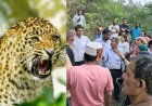 पौड़ी में गुलदार का नया हमला, खाण्ड्यूसैण में घास लेने निकली महिला बनी शिकार