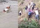 उत्तराखंड: दर्दनाक सड़क हादसा, कैल नदी में गिरा बोलेरो, 4 की मौत, 3 घायल