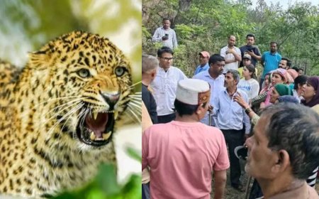 पौड़ी में गुलदार का नया हमला, खाण्ड्यूसैण में घास लेने निकली महिला बनी शिकार