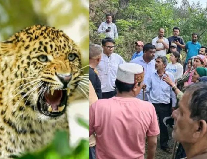 पौड़ी में गुलदार का नया हमला, खाण्ड्यूसैण में घास लेने निकली महिला बनी शिकार