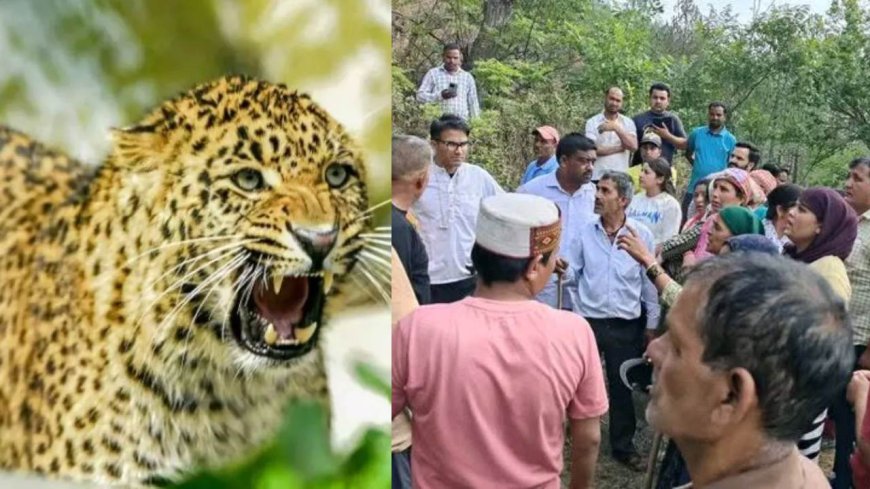 पौड़ी में गुलदार का नया हमला, खाण्ड्यूसैण में घास लेने निकली महिला बनी शिकार