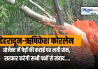 देहरादून-ऋषिकेश फोरलेन परियोजना में पेड़ों की कटाई पर रोक, सरकार सभी से करेगी संवाद