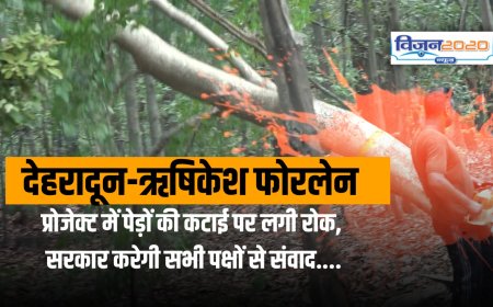 देहरादून-ऋषिकेश फोरलेन परियोजना में पेड़ों की कटाई पर रोक, सरकार सभी से करेगी संवाद