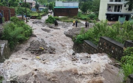 उत्तराखंड में मूसलधार बारिश: मालदेवता में 233 मिमी बारिश, चारधाम यात्रा स्थगित