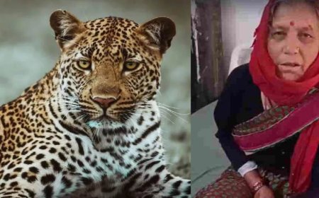 65 वर्षीय नारायणी देवी ने दरांती से गुलदार का सामना कर बचाई जान, जानिए पूरी कहानी