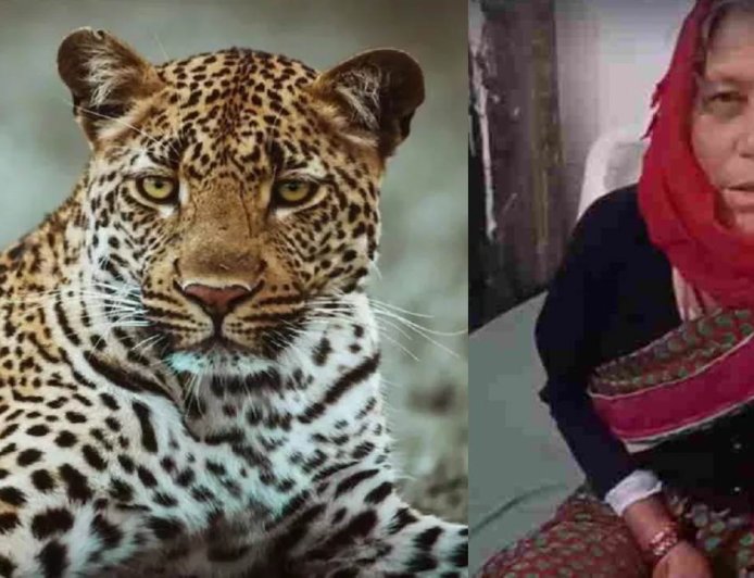 65 वर्षीय नारायणी देवी ने दरांती से गुलदार का सामना कर बचाई जान, जानिए पूरी कहानी