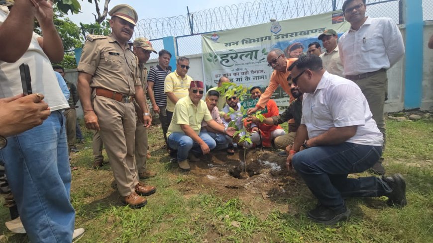 हर गाँव की पहचान: एक पेड़, माँ के नाम - हरेला पर्व 2026 का उत्सव कार्बेट टाइगर रिजर्व और PNG PG कॉलेज में हुआ धूमधाम से