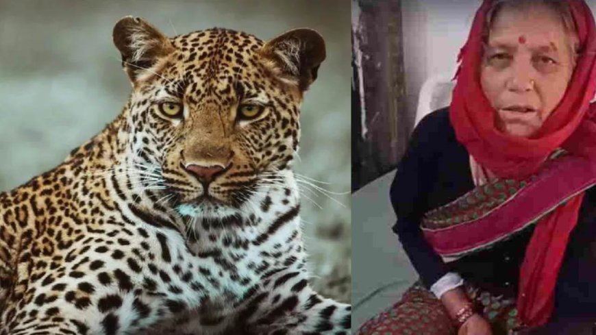 65 वर्षीय नारायणी देवी ने दरांती से गुलदार का सामना कर बचाई जान, जानिए पूरी कहानी
