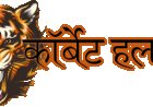 धामी और अजय भट्ट की महत्वपूर्ण भेंट: नैनीताल-ऊधम सिंह नगर में विकास की नई उम्मीदें