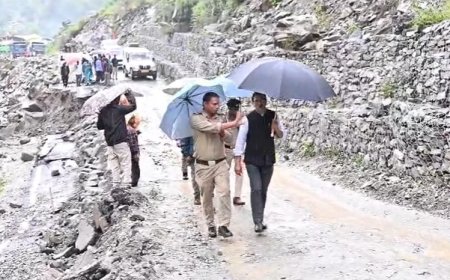 उत्तरकाशी में डीएम ने पापड गाड़ का स्थलीय निरीक्षण, राहत कार्य युद्धस्तर पर जारी