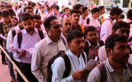देहरादून में 11 अगस्त को रोजगार मेला, 559 पदों पर होगा चयन, पंजीकरण की प्रक्रिया शुरू