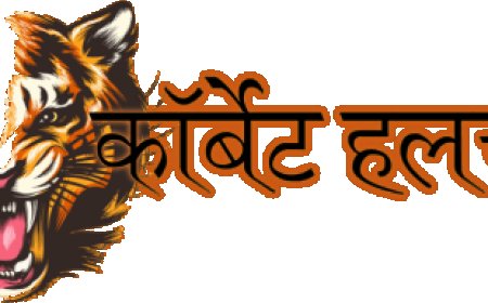 धामी और अजय भट्ट की महत्वपूर्ण भेंट: नैनीताल-ऊधम सिंह नगर में विकास की नई उम्मीदें