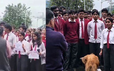 पौड़ी: भरसार विश्वविद्यालय में हॉर्टीकल्चर छात्रा की मौत, आक्रोशित छात्र छात्राओं ने विवि प्रशासन पर लगाए गंभीर लापरवाही के आरोप