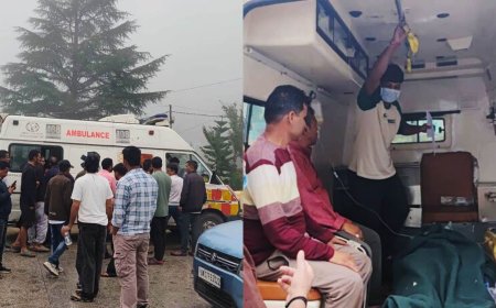 चमोली: घास काटने गई दो महिलाओं पर भालू का हमला, एक की मौत,  दूसरी गंभीर रूप से घायल