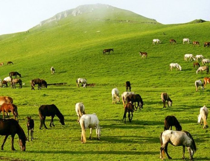 उत्तराखंड में फिल्म संस्कृति को नई पहचान, पहली बार फिल्म पुरस्कारों का आयोजन, फिल्मों, कलाकारों और तकनीकी प्रतिभाओं को मिलेगा सम्मान