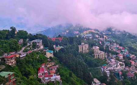 सुप्रीम कोर्ट के आदेश के बाद मसूरी में एमडीडीए का सर्वे तेज, 200 से अधिक प्रतिष्ठान जांच के दायरे में