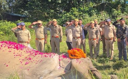 कार्बेट टाइगर रिजर्व की 80 वर्षीय हथिनी ‘सोनाकली’ का निधन: पूर्ण राजकीय सम्मान के साथ दी गई अंतिम विदाई
