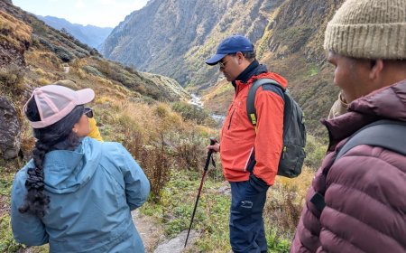 पिंडारी ग्लेशियर ट्रेक को और अधिक सुरक्षित एवं पर्यटक-अनुकूल बनाने के लिए प्रतिबद्ध जिला प्रशासन, डीएम ने किया स्थलीय निरीक्षण