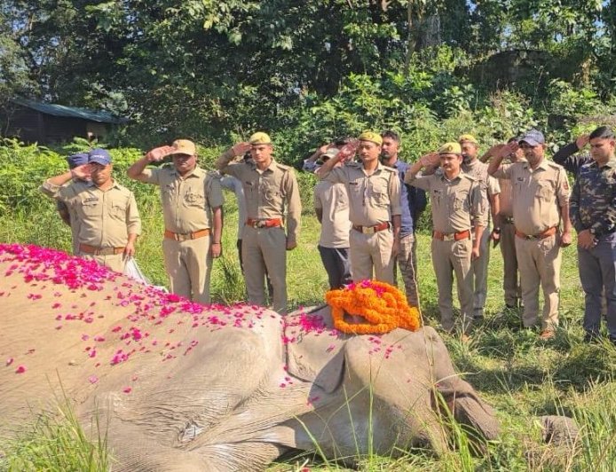 कार्बेट टाइगर रिजर्व की 80 वर्षीय हथिनी ‘सोनाकली’ का निधन: पूर्ण राजकीय सम्मान के साथ दी गई अंतिम विदाई