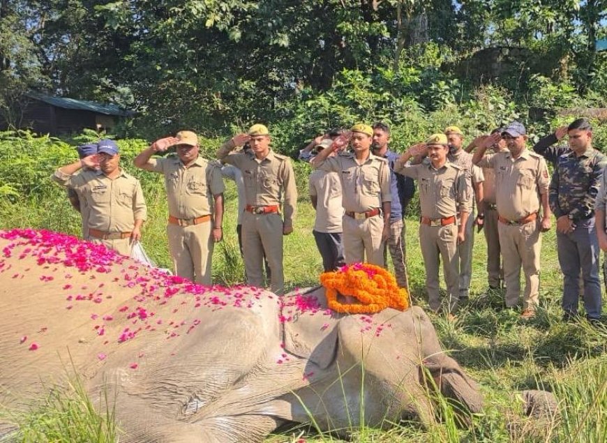 कार्बेट टाइगर रिजर्व की 80 वर्षीय हथिनी ‘सोनाकली’ का निधन: पूर्ण राजकीय सम्मान के साथ दी गई अंतिम विदाई